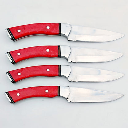 Ruby Red Steak Knife 4 Piece Set - Stainless Steel - 9"