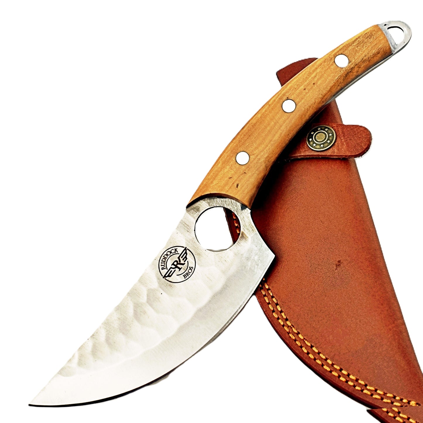 Olive Hardwood Paring Knife - Fixed Blade - Stainless Steel
